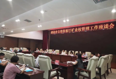杏耀登录湖南省自然资源厅召开矿业权管理工作
