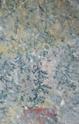 杏耀注册石材大板里的化石，你都见过吗？
